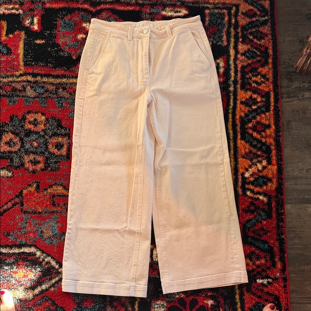 Everlane Blush Pink Wide-Leg Pants